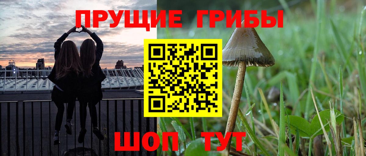 Михайловка  ГАШИШ  A-PVP СК кристаллы  Вход с VPN  МАРИХУАНА  Меф МЯУ МЯУ   Бошки Шишки  Мефедрон 