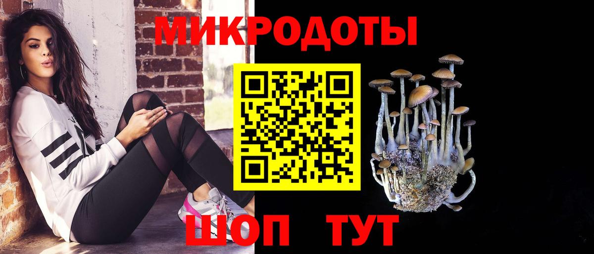 Галлюциногенные грибы GOLDEN TEACHER Михайловка